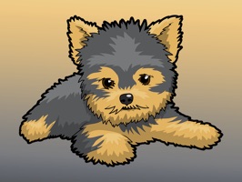 React with cute Yorkie Dog Stickers and Emojis Pack