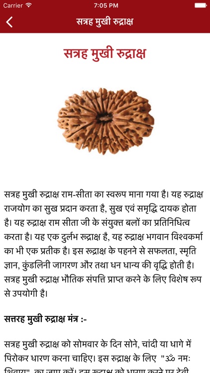 Hindi Rudraksha Guide