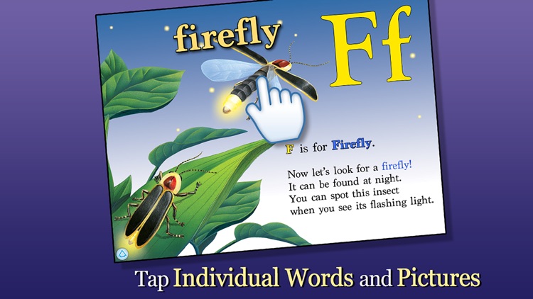 Alphabet of Insects