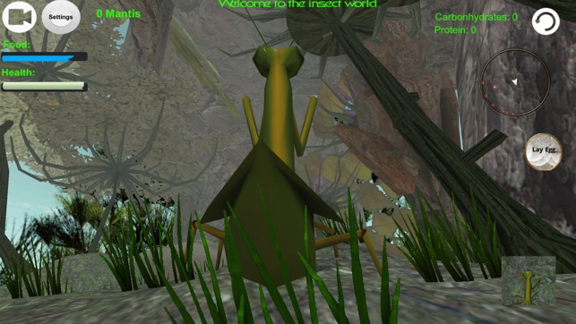 Praying Mantis Simulator 3D(圖3)-速報App