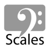 Scales For Bass Guitar