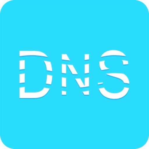 西默智能DNS Icon