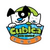 Cubica Pets