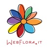 webflora