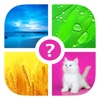 Words & Pics ~ Free Photo Quiz. What's the word?