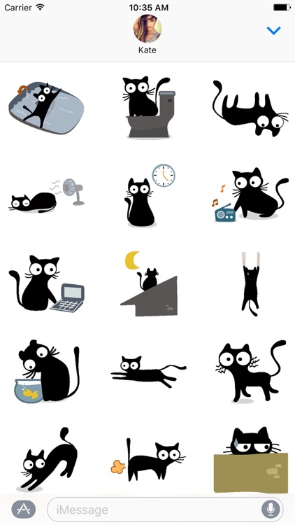 Blummy The Cat Stickers