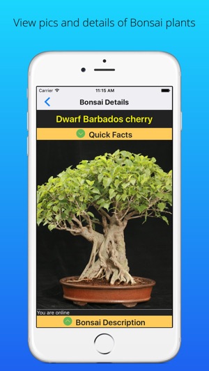 SGSBonsai(圖3)-速報App