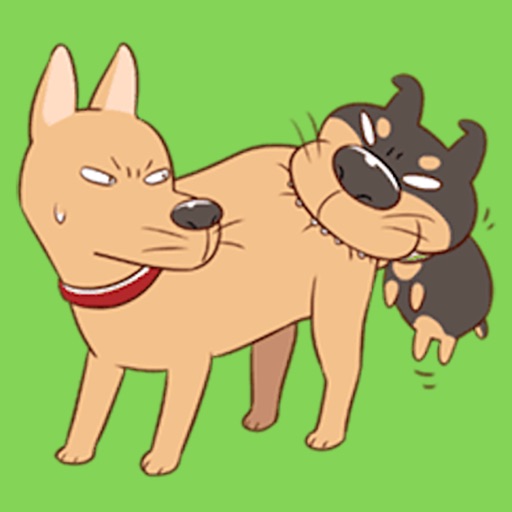 Life Of Funny Dogs icon