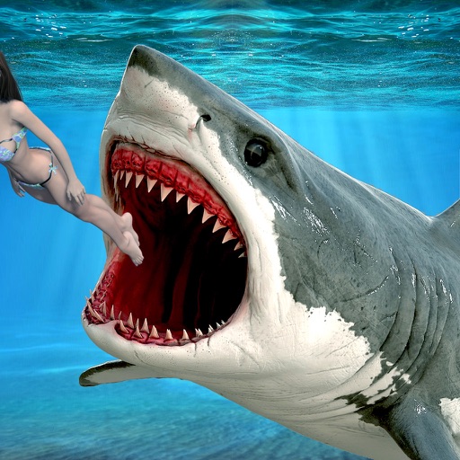 Killer Wild Shark Attack 3D by Ocimum Games