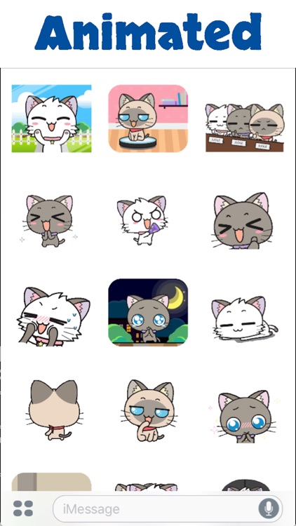 Lovely Cat Animated