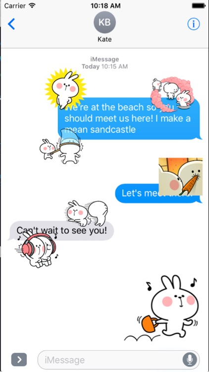 Cool Rabbit and Friends