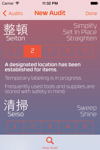 5S Audit screenshot 2