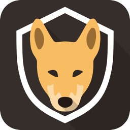 DingoVPN: Fast & Secure
