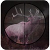 Real Deer hunting 3D game