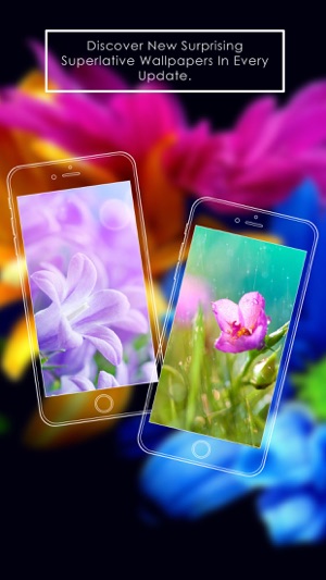 Pink Flowers HD WallPapers & Background Free(圖2)-速報App