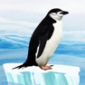 Get Knowee : Penguins for iOS, iPhone, iPad Aso Report
