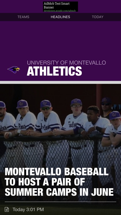 University of Montevallo Falcons