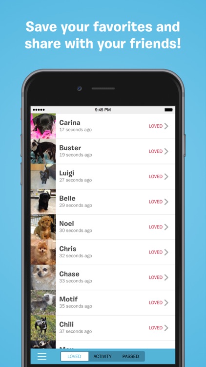BarkBuddy - Adopt a Dog Near You