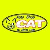 AUTO SHOP CAT
