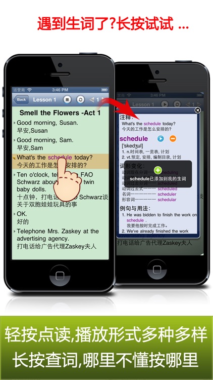 USA family life English 2 - learn American culture