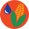 Corn Irrigation Scheduler