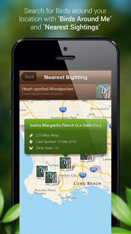 Bird Calls - Bird Song & Guide screenshot-3