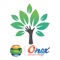 Onex Project Tree is a repository where we can place our physical data into a digital form