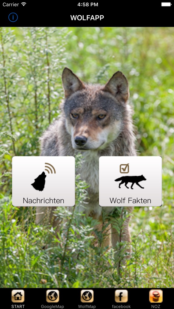【图】WolfApp(截图2) 【图】WolfApp(截图2)