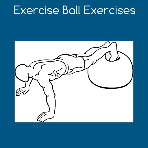 Beginner Exercise Ball Workout icon