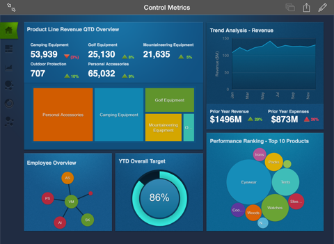 Скриншот из IBM Cognos Mobile BB Dynamics