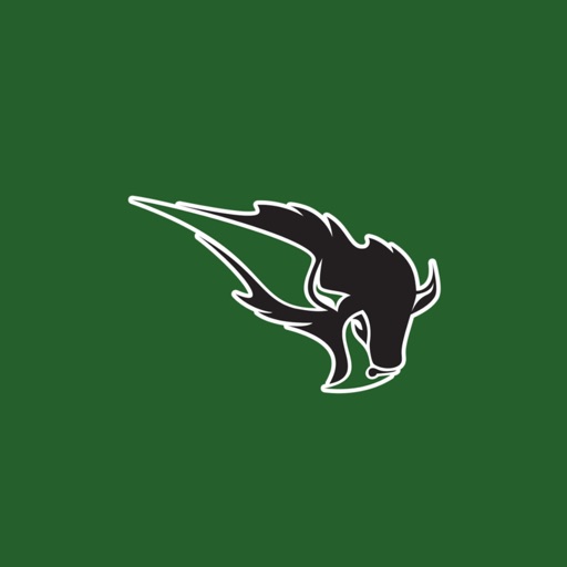 Oklahoma Baptist University Bison