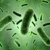 Medical Science : Microbiology Quiz