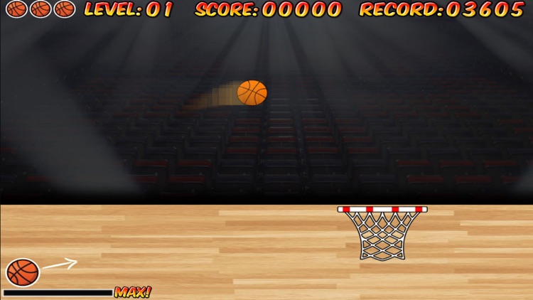 Trick Shot - Basketball