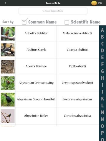 Kea: Create Birding Quiz Games screenshot 4