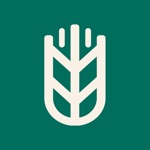Supply Grain