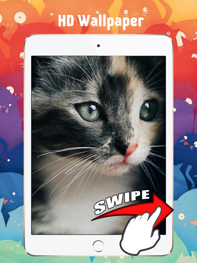 かわいい子猫の猫の壁紙と背景 をapp Storeで
