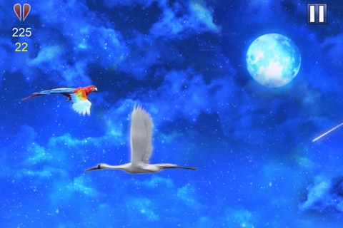 Birds on the Go screenshot 4