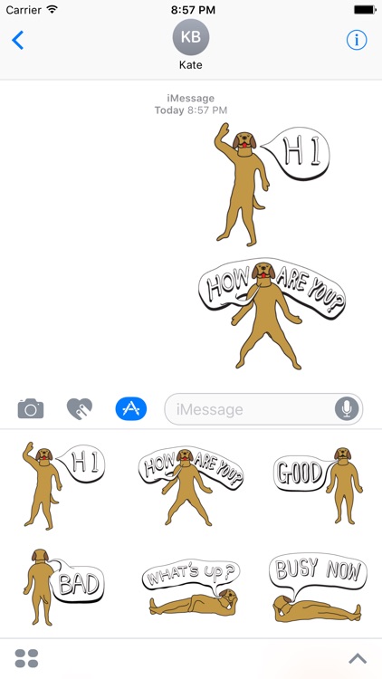 Golden Retriever Stickers for iMessage Daily Use