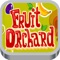 Fruit Orchard Color Match