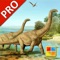 Icon Dinosaurs Cards PRO