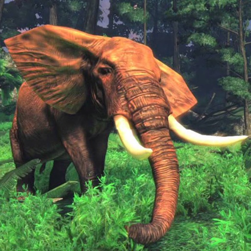 Elephant Real Adventure Game icon