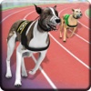 Greyhound Derby Dog Racing - Wild Dog 3D Simulator