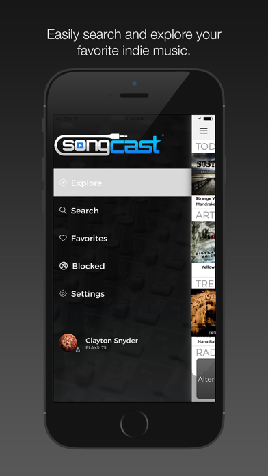 SongCast screenshot 3