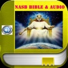 NASB Bible (Audio) Fire Study Bible tools