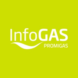 Informe del Sector Gas Natural