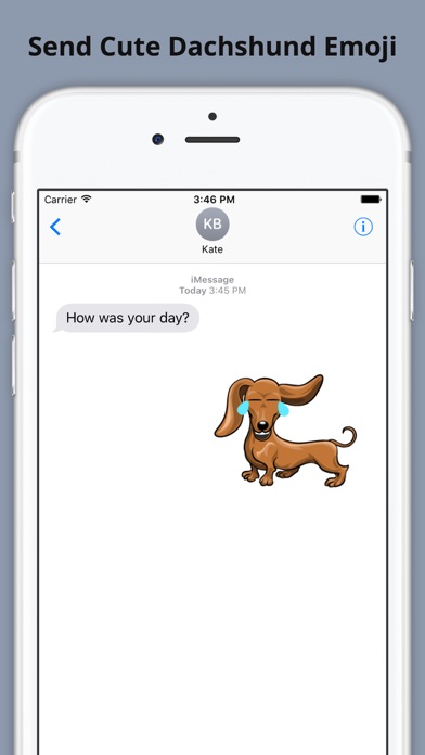 How to cancel & delete Weinermoji - Dachshund Emoji & Stickers from iphone & ipad 1