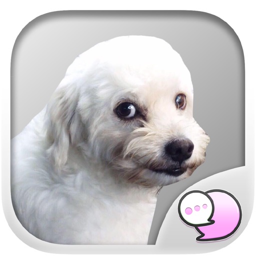 Buy me for my food : Mad dog Stickers for iMessage iOS App
