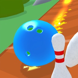 Bowl n Roll 3D