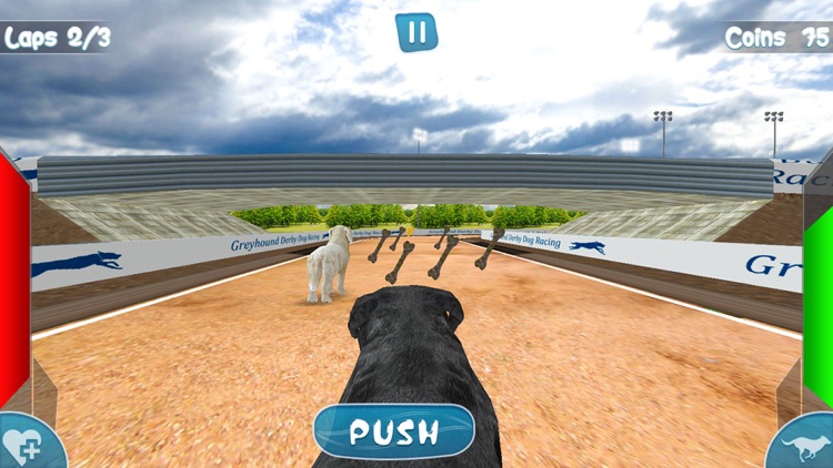Greyhound Derby Dog Racing - Wild Dog 3D Simulator