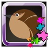 Little Bird Coloring Books-Drawing game for kids